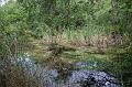562. gumbo limbo trail